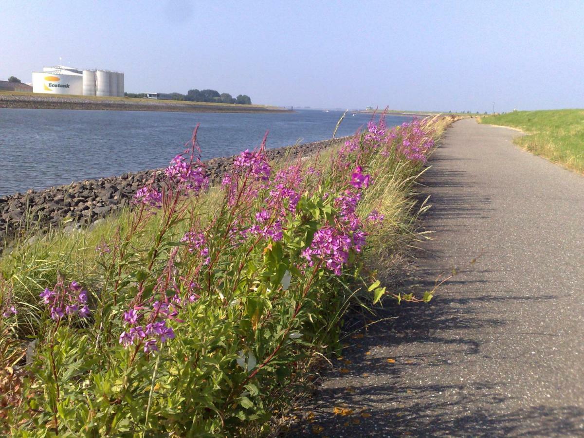 Vakantiehuis Middensluis 7 *